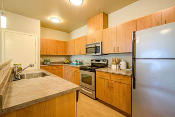 Stainless steel kitchen appliances 